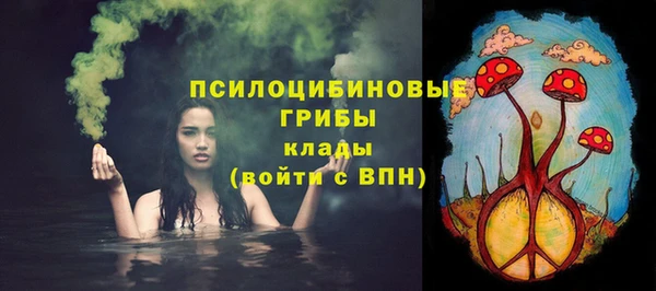 тгк Алексеевка