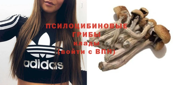 кокс Алексин