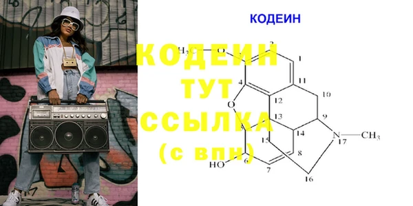 кокс Алексин