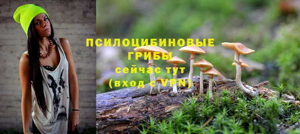 тгк Алексеевка
