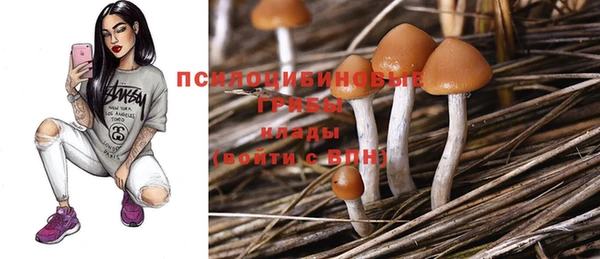 тгк Алексеевка