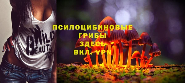 тгк Алексеевка