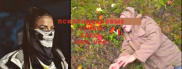 тгк Алексеевка