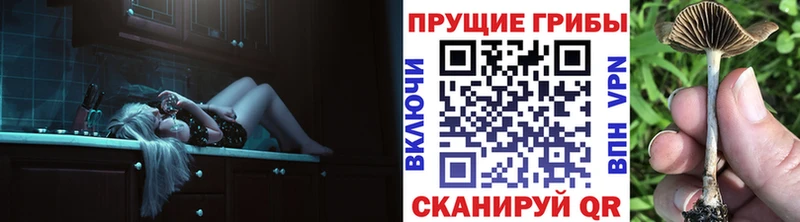 KRAKEN маркетплейс  Арсеньев  Галлюциногенные грибы Psilocybe 